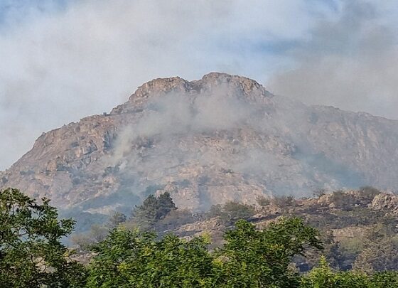incendiu Greci