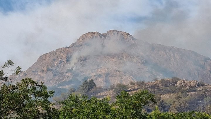 incendiu Greci
