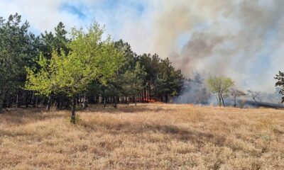 incendiu Greci