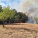 incendiu Greci