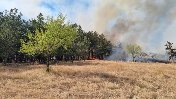 incendiu Greci