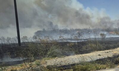 incendiu Mangalia Albesti
