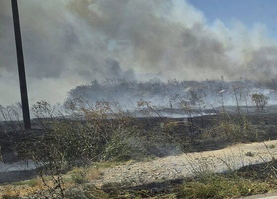 incendiu Mangalia Albesti