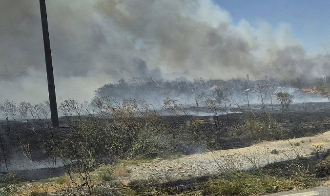 incendiu Mangalia Albesti