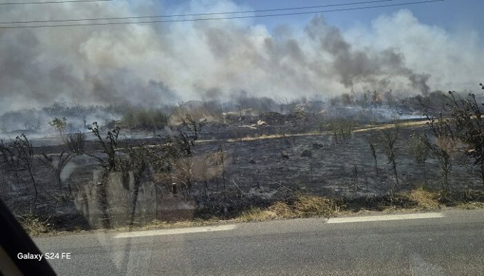 incendiu Mangalia albesti