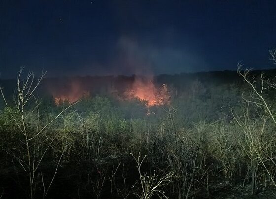incendiu casian