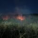 incendiu casian