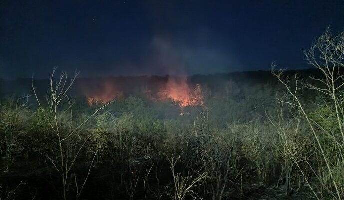 incendiu casian