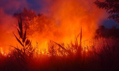 incendiu chilia veche