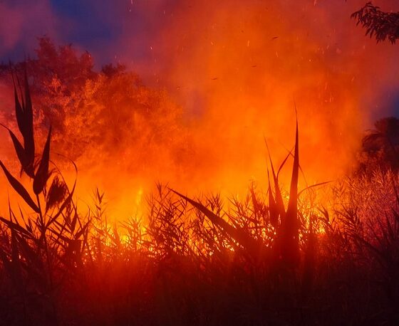 incendiu chilia veche