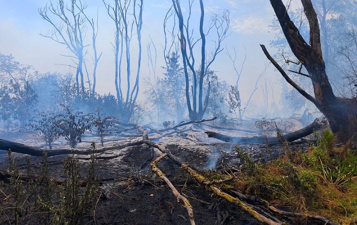 incendiu chilia incendiu chilia