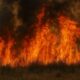 incendiu judet constanta
