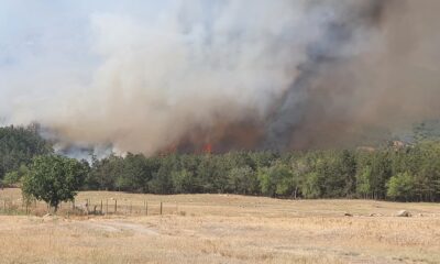 incendiu padure Greci