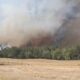 incendiu padure Greci