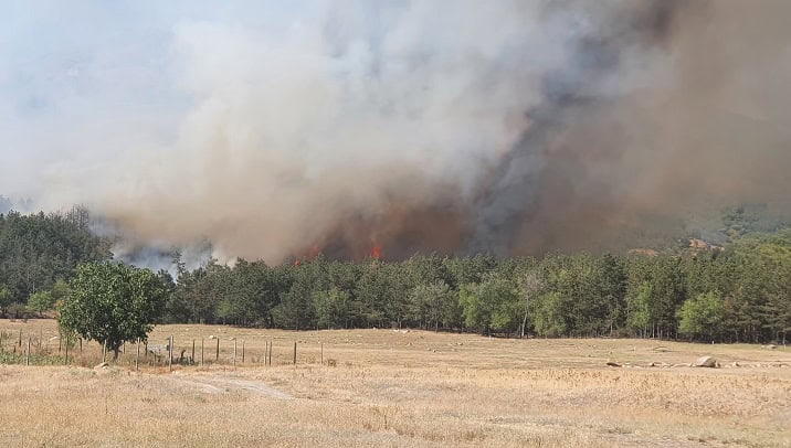 incendiu padure Greci