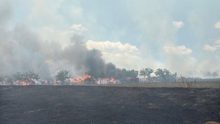 incendiu stana tulcea