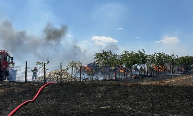 incendiu stana tulcea