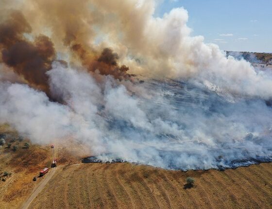 incendiu violent tulcea