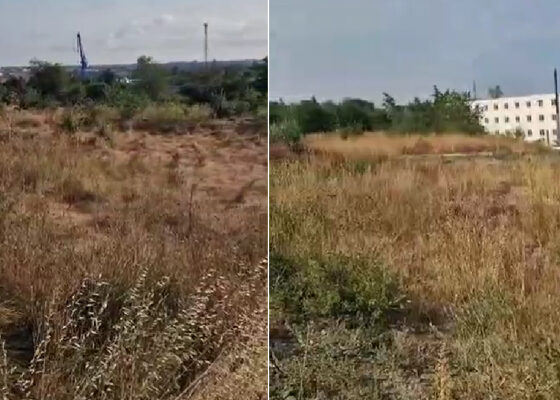 parc industrial mangalia