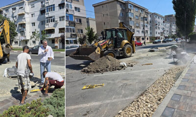 strada randunelelor navodari