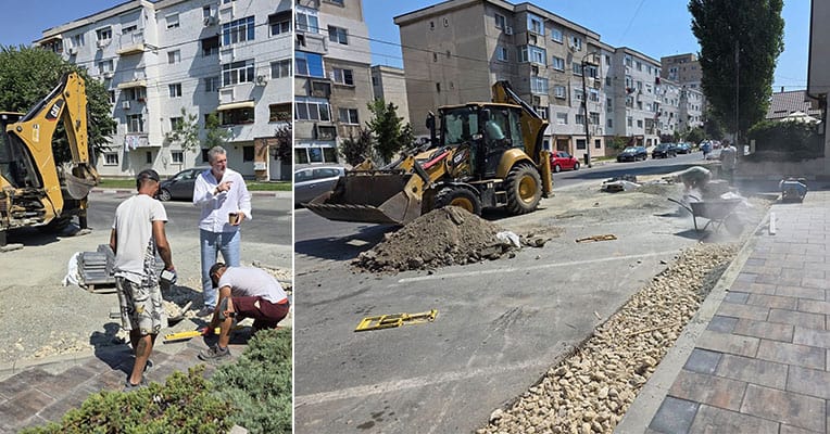 strada randunelelor navodari