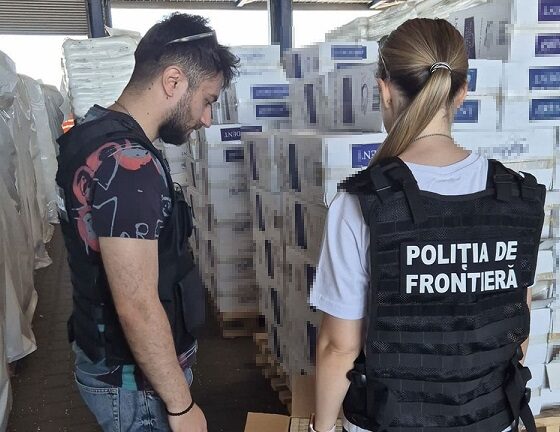 tigari garda de coasta