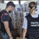 tigari garda de coasta