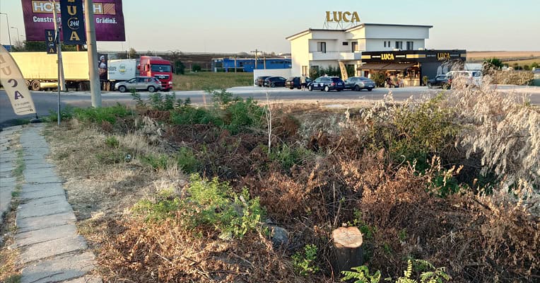 Defrisare Luca Agigea