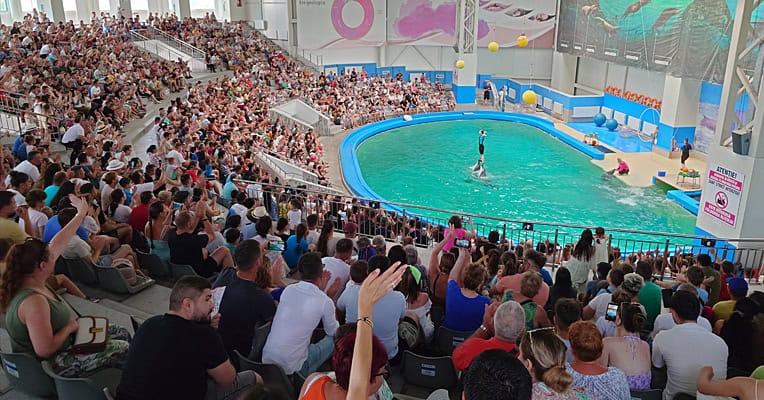Delfinariu aflux mare de vizitatori iulie