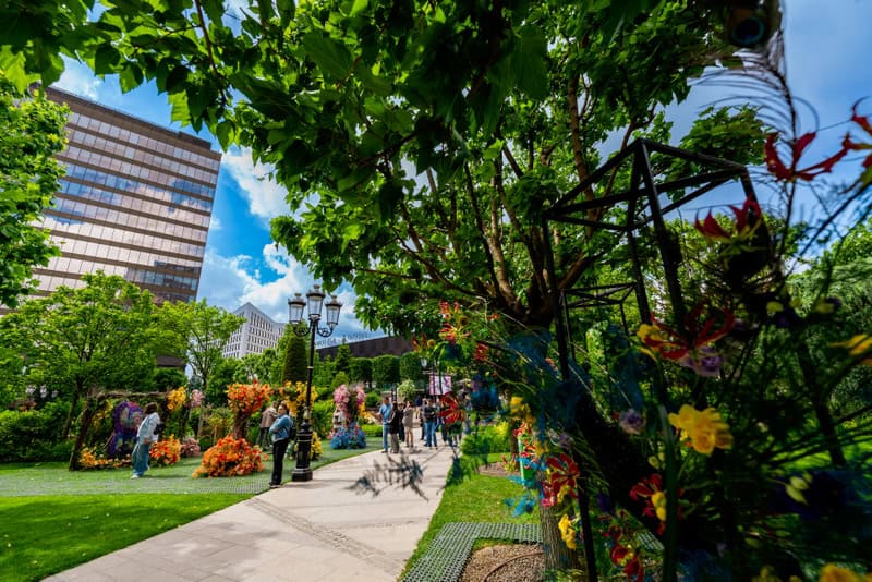 FLORALL Iulius Town Timișoara