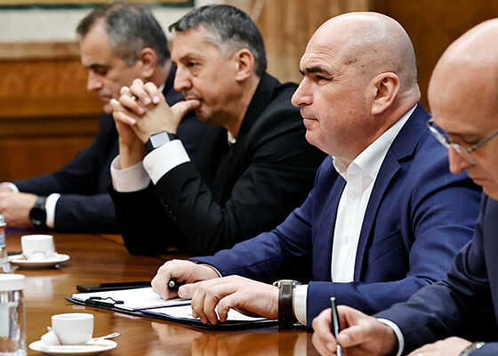 bolojan david