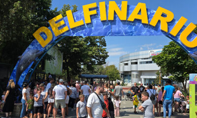 delfinariu