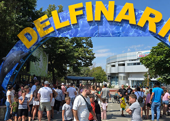 delfinariu