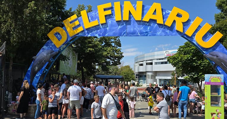 delfinariu