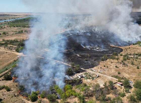 incendiu Medgidia