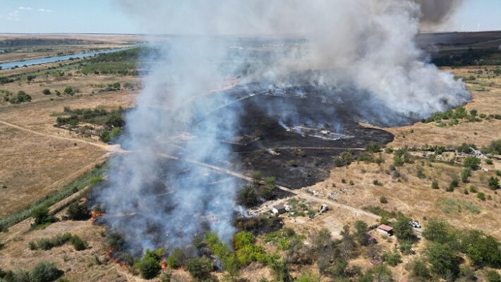 incendiu Medgidia
