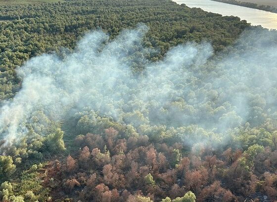 incendiu chilia veche