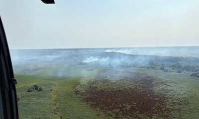 incendiu delta