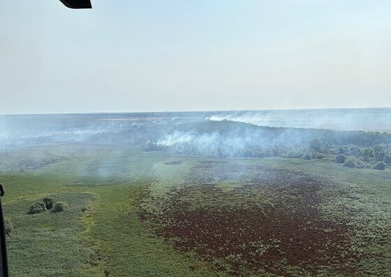 incendiu delta