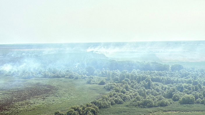 incendiu delta
