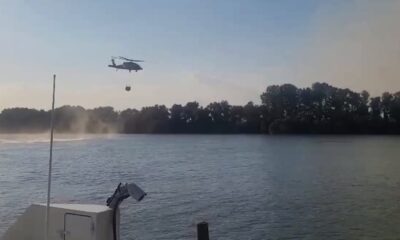 incendiu delta