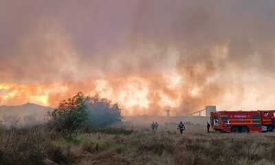 incendiu intre Murighiol si Mahmudia