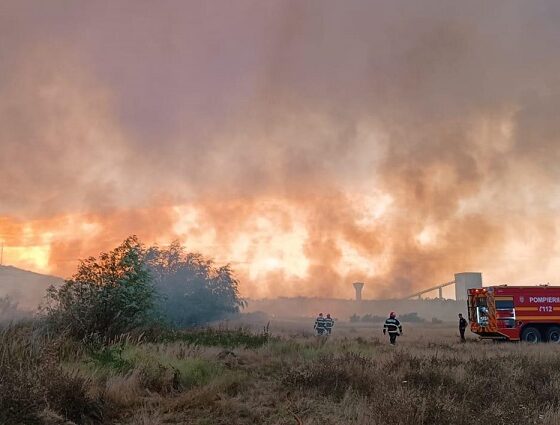 incendiu intre Murighiol si Mahmudia