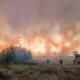 incendiu intre Murighiol si Mahmudia
