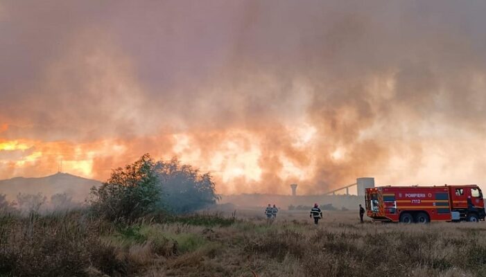 incendiu intre Murighiol si Mahmudia