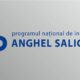 proiect anghel saligny