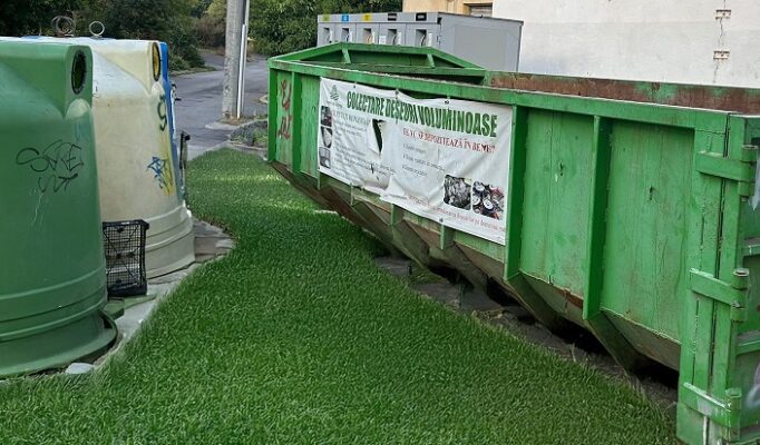 container aleea stadionului container aleea stadionului