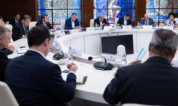 guvern consultari primari