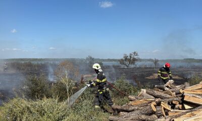 incendiu Murighiol