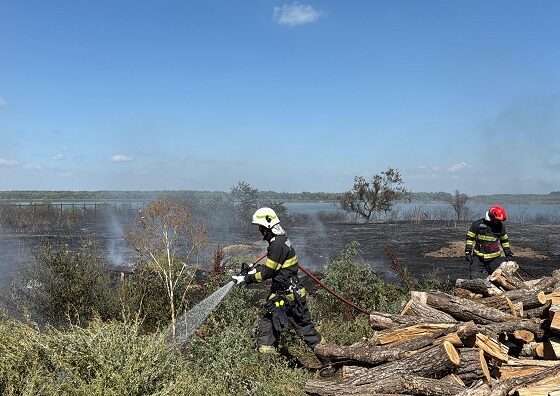 incendiu Murighiol
